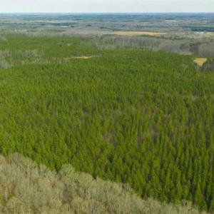 Photo of UNDER CONTRACT!!  137.93 Acres of Investment Timber Land for Sale in Person County  NC!