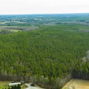 Photo of UNDER CONTRACT!!  137.93 Acres of Investment Timber Land for Sale in Person County  NC!