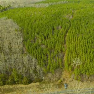 Photo of UNDER CONTRACT!!  137.93 Acres of Investment Timber Land for Sale in Person County  NC!