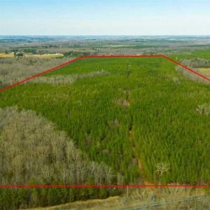 Photo of UNDER CONTRACT!!  137.93 Acres of Investment Timber Land for Sale in Person County  NC!