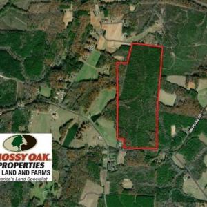 Photo of UNDER CONTRACT!!  137.93 Acres of Investment Timber Land for Sale in Person County  NC!