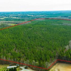 Photo of UNDER CONTRACT!!  137.93 Acres of Investment Timber Land for Sale in Person County  NC!