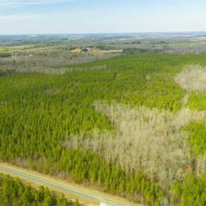 Photo of UNDER CONTRACT!!  137.93 Acres of Investment Timber Land for Sale in Person County  NC!