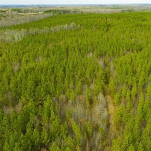 Photo of UNDER CONTRACT!!  137.93 Acres of Investment Timber Land for Sale in Person County  NC!