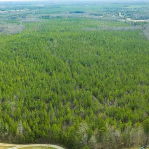 Photo of UNDER CONTRACT!!  137.93 Acres of Investment Timber Land for Sale in Person County  NC!