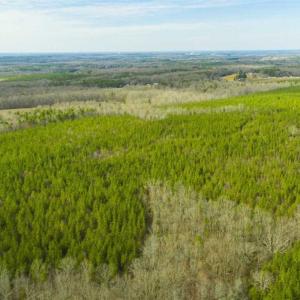 Photo of UNDER CONTRACT!!  137.93 Acres of Investment Timber Land for Sale in Person County  NC!