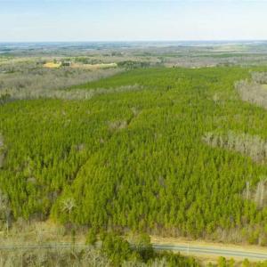 Photo of UNDER CONTRACT!!  137.93 Acres of Investment Timber Land for Sale in Person County  NC!