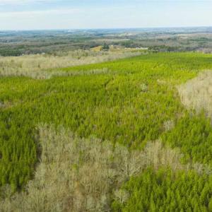 Photo of UNDER CONTRACT!!  137.93 Acres of Investment Timber Land for Sale in Person County  NC!