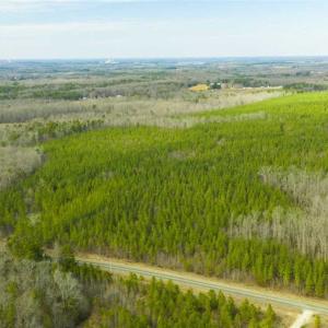 Photo of UNDER CONTRACT!!  137.93 Acres of Investment Timber Land for Sale in Person County  NC!