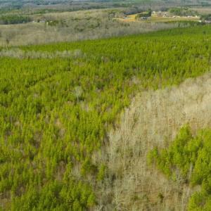 Photo of UNDER CONTRACT!!  137.93 Acres of Investment Timber Land for Sale in Person County  NC!