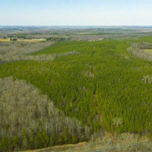 Photo of UNDER CONTRACT!!  137.93 Acres of Investment Timber Land for Sale in Person County  NC!