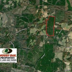 Photo of UNDER CONTRACT!!  137.93 Acres of Investment Timber Land for Sale in Person County  NC!
