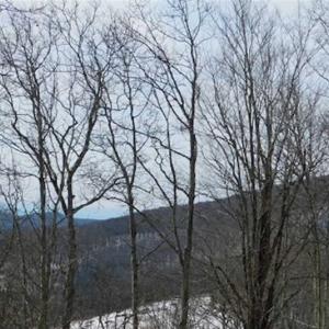 Photo of 3 Acres of Residential Land for Sale in Grayson County VA!