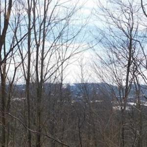 Photo of 3 Acres of Residential Land for Sale in Grayson County VA!