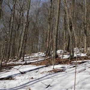 Photo of 3 Acres of Residential Land for Sale in Grayson County VA!