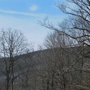 Photo of 3 Acres of Residential Land for Sale in Grayson County VA!