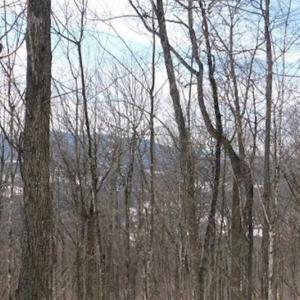 Photo of 3 Acres of Residential Land for Sale in Grayson County VA!