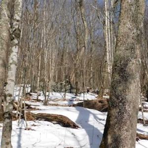 Photo of 3 Acres of Residential Land for Sale in Grayson County VA!