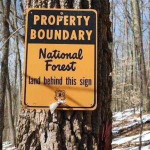 Photo of 3 Acres of Residential Land for Sale in Grayson County VA!