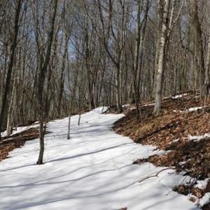 Photo of 3 Acres of Residential Land for Sale in Grayson County VA!