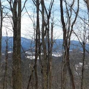 Photo of 3 Acres of Residential Land for Sale in Grayson County VA!