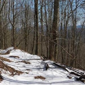 Photo of 3 Acres of Residential Land for Sale in Grayson County VA!