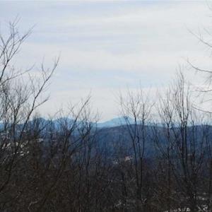 Photo of 3 Acres of Residential Land for Sale in Grayson County VA!