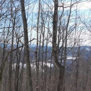 Photo of 3 Acres of Residential Land for Sale in Grayson County VA!