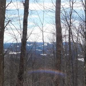 Photo of 3 Acres of Residential Land for Sale in Grayson County VA!