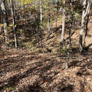 Photo of SOLD!!  5 Acres of Residential and Hunting Land For Sale in Moore County NC!