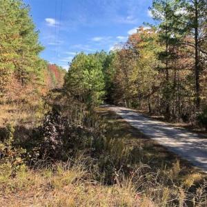 Photo of SOLD!!  5 Acres of Residential and Hunting Land For Sale in Moore County NC!