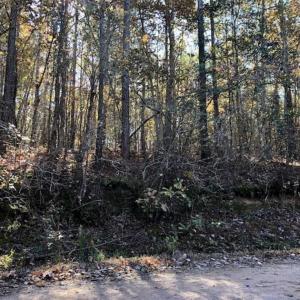 Photo of SOLD!!  5 Acres of Residential and Hunting Land For Sale in Moore County NC!