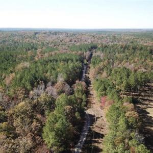 Photo of SOLD!!  5 Acres of Residential and Hunting Land For Sale in Moore County NC!