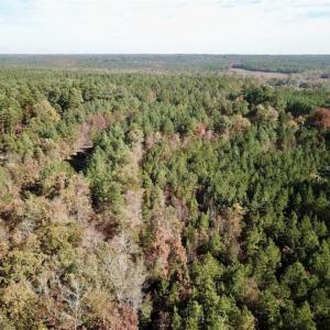 Photo of SOLD!!  5 Acres of Residential and Hunting Land For Sale in Moore County NC!