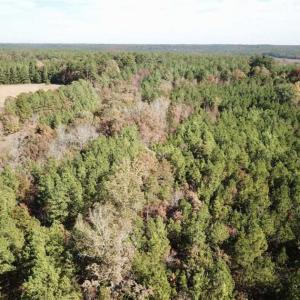 Photo of SOLD!!  5 Acres of Residential and Hunting Land For Sale in Moore County NC!