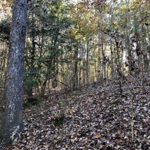 Photo of SOLD!!  5 Acres of Residential and Hunting Land For Sale in Moore County NC!