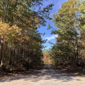 Photo of SOLD!!  5 Acres of Residential and Hunting Land For Sale in Moore County NC!