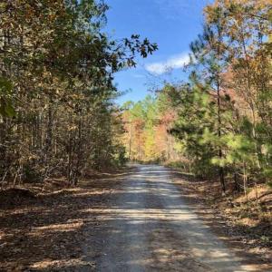 Photo of SOLD!!  5 Acres of Residential and Hunting Land For Sale in Moore County NC!