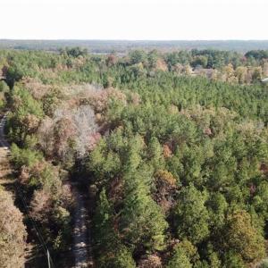 Photo of SOLD!!  3 Acres of Residential and Hunting Land For Sale in Moore County NC!