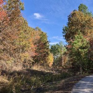 Photo of SOLD!!  3 Acres of Residential and Hunting Land For Sale in Moore County NC!