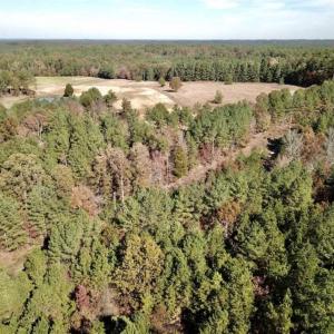 Photo of SOLD!!  3 Acres of Residential and Hunting Land For Sale in Moore County NC!