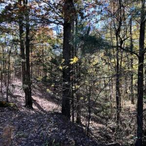 Photo of SOLD!!  3 Acres of Residential and Hunting Land For Sale in Moore County NC!