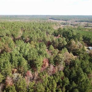 Photo of SOLD!!  3 Acres of Residential and Hunting Land For Sale in Moore County NC!