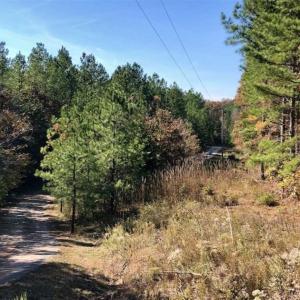 Photo of SOLD!!  3 Acres of Residential and Hunting Land For Sale in Moore County NC!