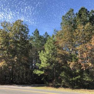 Photo of SOLD!!  3 Acres of Residential and Hunting Land For Sale in Moore County NC!