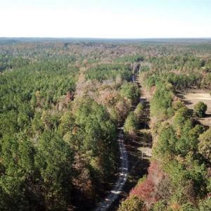 Photo of SOLD!!  3 Acres of Residential and Hunting Land For Sale in Moore County NC!