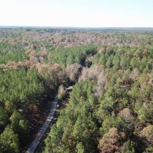 Photo of SOLD!!  3 Acres of Residential and Hunting Land For Sale in Moore County NC!