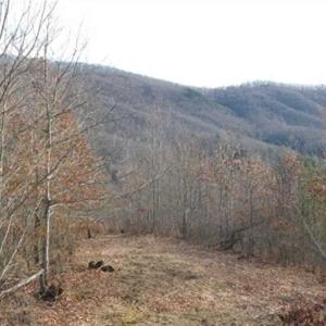 Photo of SOLD!!  74 Acres of Hunting and Recreational Land For Sale in Bland County VA!