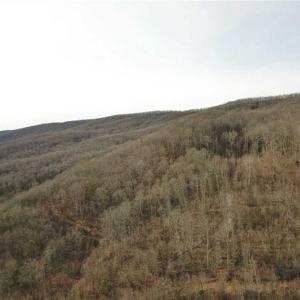 Photo of SOLD!!  74 Acres of Hunting and Recreational Land For Sale in Bland County VA!