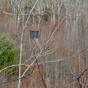 Photo of SOLD!!  74 Acres of Hunting and Recreational Land For Sale in Bland County VA!